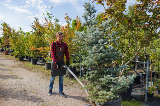 Best Tree Mulching  in Crockett, TX