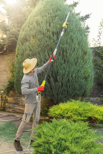 Best Emergency Tree Removal  in Crockett, TX
