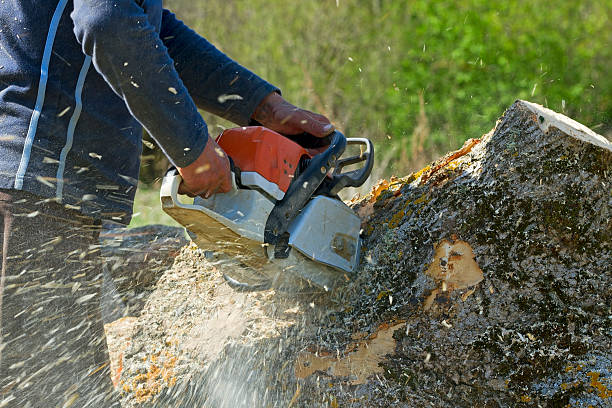Mulching Services in Crockett, TX